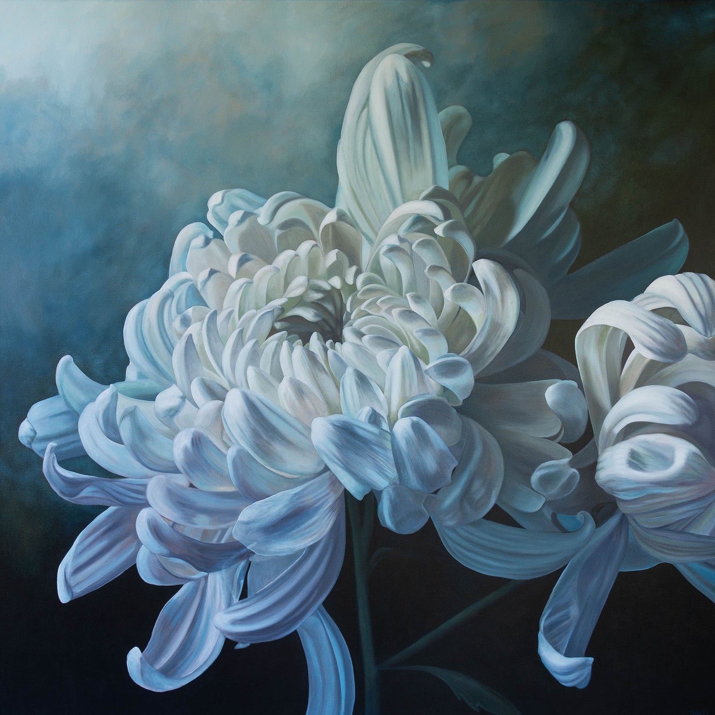 Au Revoir Chrysanthemum